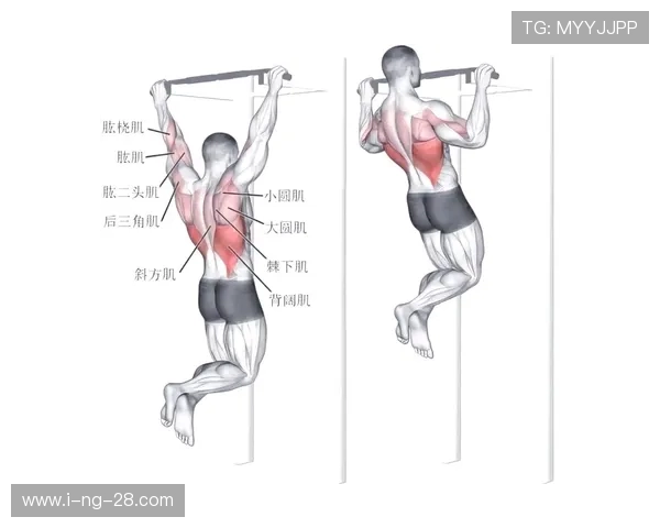 全面提升身体素质的健身指南 从基础动作到进阶训练的全方位解析 全面提升身体素质的健身指南 从基础动作到进阶训练的全方位解析